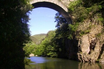 Les lauriers roses_21 ©