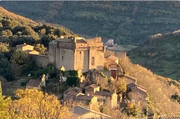 Les lauriers roses_22 ©