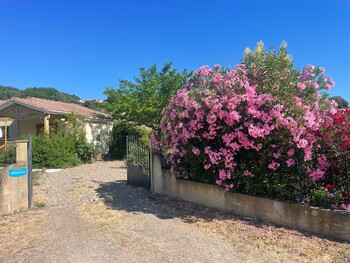 Les lauriers roses_25 ©Daniel et Catherine Marc