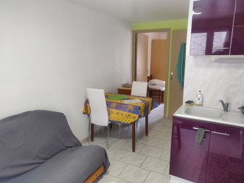 FAUX_Aloe-Vera_séjour ©Gfaux