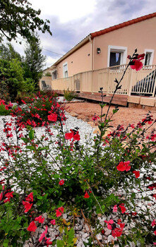 34G31209 - G.Bobola - Fourmi_4 ©©Relai Gîtes de France Hérault