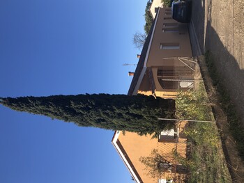 EMPLACEMENT PARKING POUR GÎTE MILIEU ©BRESILLEY