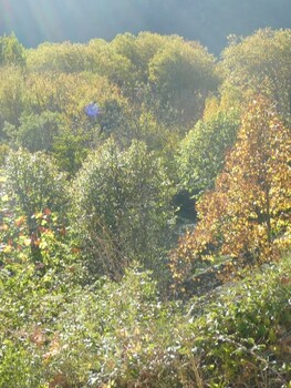 album-34G019153-6-l-2 ©©Gîtes de France