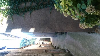 rue-des-Mineurs-2 ©©fabre-noury