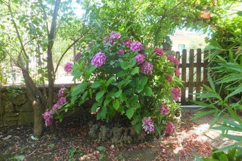 .jardin clos ,arboré et fleuri avec barbecue en dur ©Gîtes de France