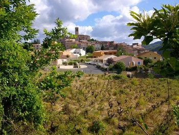 Vue sur village le Bousquet d'Orb (St Martin) ©N.SEIWERT