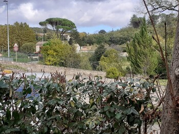 20201011-160809-2 ©©nichet