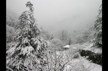HLOLAR0340007885_11 ©.