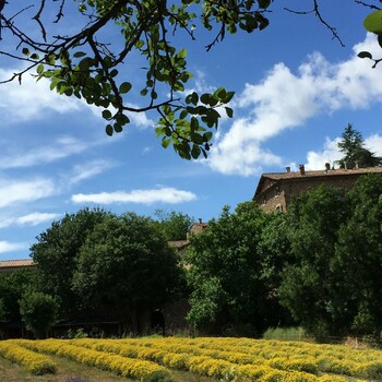DOMAINE DE POUZES ©DE CLOCK
