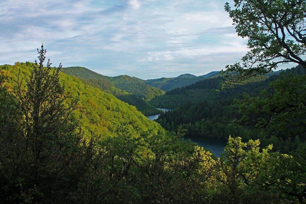 Aire Naturelle de Camping à Lascours - ©Eric Allie