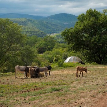 cabanes insolite bulle vueferme ©les cabanes insolites