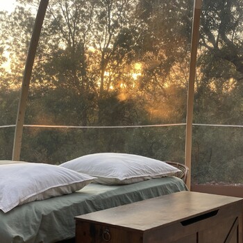 cabanes insolite lit bulle ©les cabanes insolites