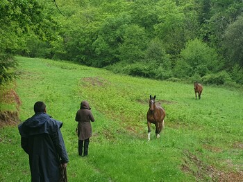 relais equestre ©Auberge de Lascours