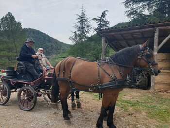 relais équestre ©Auberge de Lascours