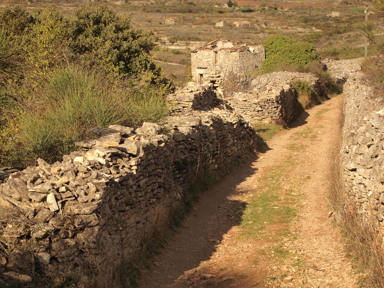 Causse _Bédarieux_OTBédarieux - ©OTI du Grand Orb