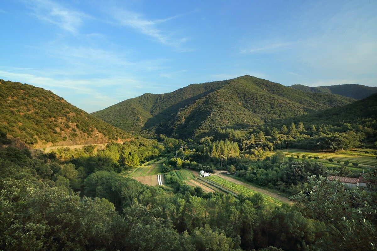 La haute vallée de l'Orb entre Sérieys et Truscas ©Georges Souche