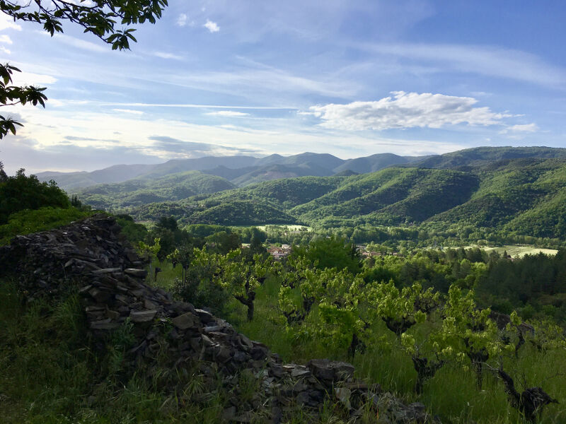 Parcours7 - 1 - ©©Montagnes du Caroux