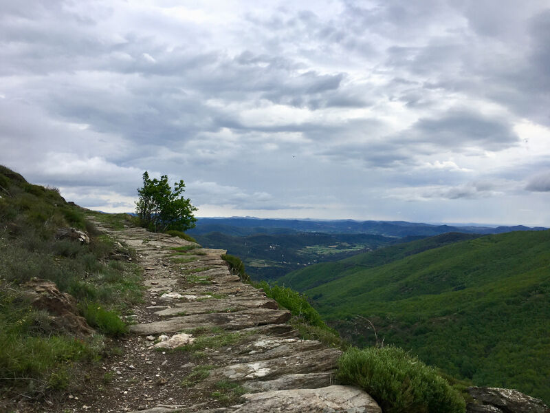 Parcours9 - 1 - ©©Montagnes du Caroux