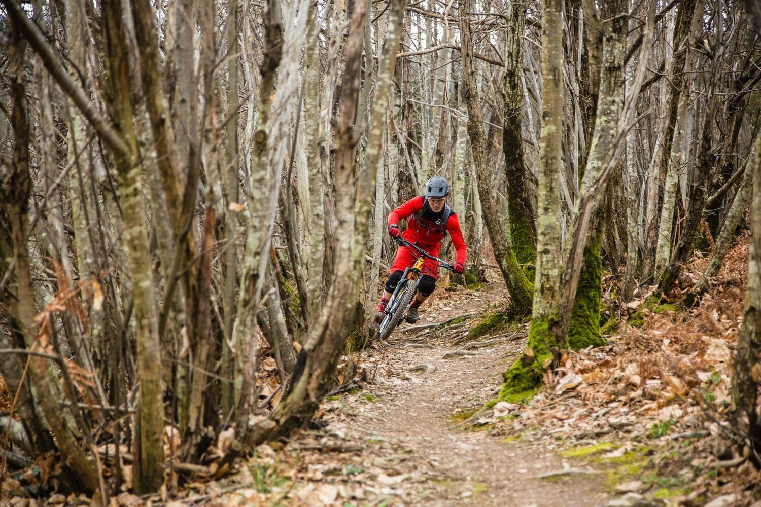 Enduro ©Vélo Caroux