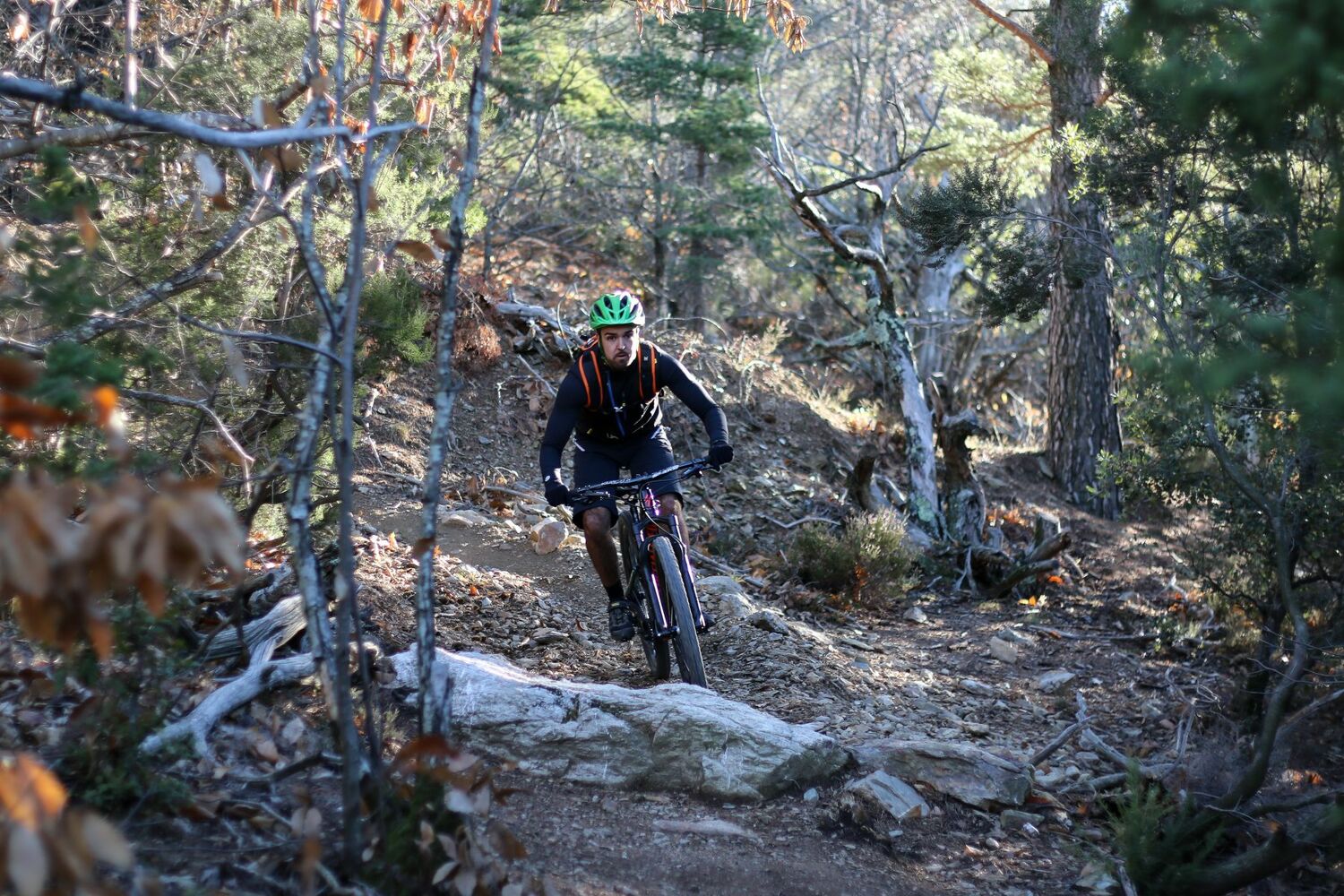 Descente en forêt ©Pays HLV