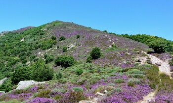 Rando_Roquandouire_-_Gilles_Delerue_15 ©©Gilles Delerue - ADT34