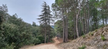 Montée de Courbezou ©PAGES Hugues