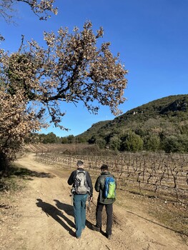 randonneurs dans vignes IGP Haute Vallee de l'Orb ©Thomas AZEMA