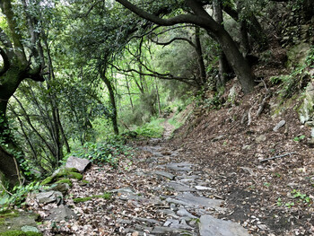 Parcours7 - 2 ©©Montagnes du Caroux