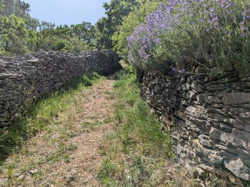 Le Causse ©N. Haugsted