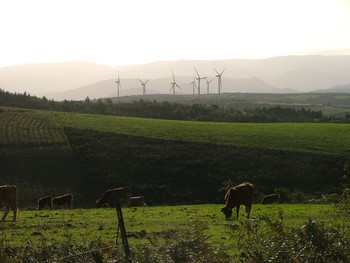 Eoliennes R.Troisi 2 ©Rachel Troisi PHLV