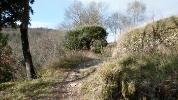Lunas_LesYeuses_M.Commeignes 2 ©Max Commeignes