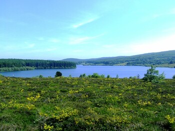 lac-vesoles-OT-Salvetat ©OT Monts et Lacs en Haut Languedoc