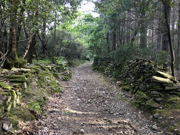 Parcours7 - 3 ©©Montagnes du Caroux