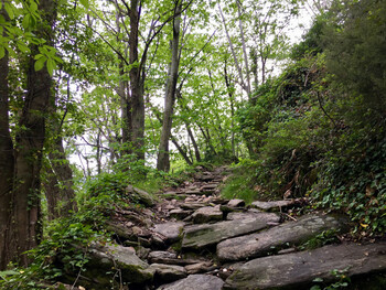 Parcours9 - 3 ©©Montagnes du Caroux