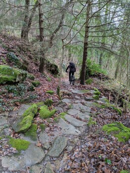 Sentier caladé ©N. Haugsted