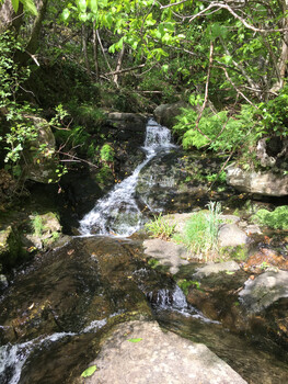 Parcours7 - 4 ©©Montagnes du Caroux