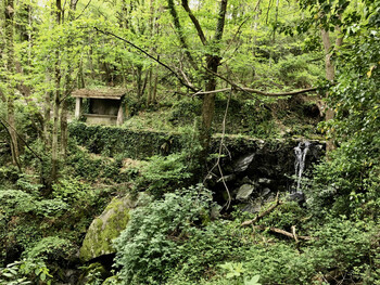 Parcours9 - 4 ©©Montagnes du Caroux