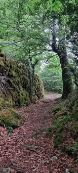 Entre col du Layrac et col de Marcou(2) ©PAGES Hugues