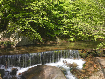 Parcoursx10 - 5 ©©Montagnes du Caroux
