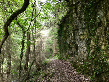 Parcoursx13 - 5 ©©Montagnes du Caroux