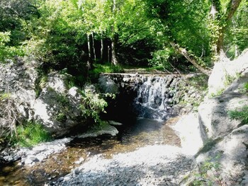 Le Devois-sous-bois-ruisseau ©©Gilles Delerue - ADT34