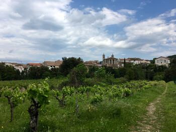 Parcours8 - 6 ©©Montagnes du Caroux