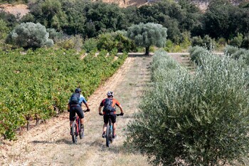 VTT-entre-vignes-et-oliviers©VTOPO-XLigonnet ©VTOPO - Xavier Ligonnet - Exclusif ADT