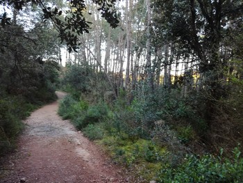 Parours-de-Sante ©OFFICE DE TOURISME