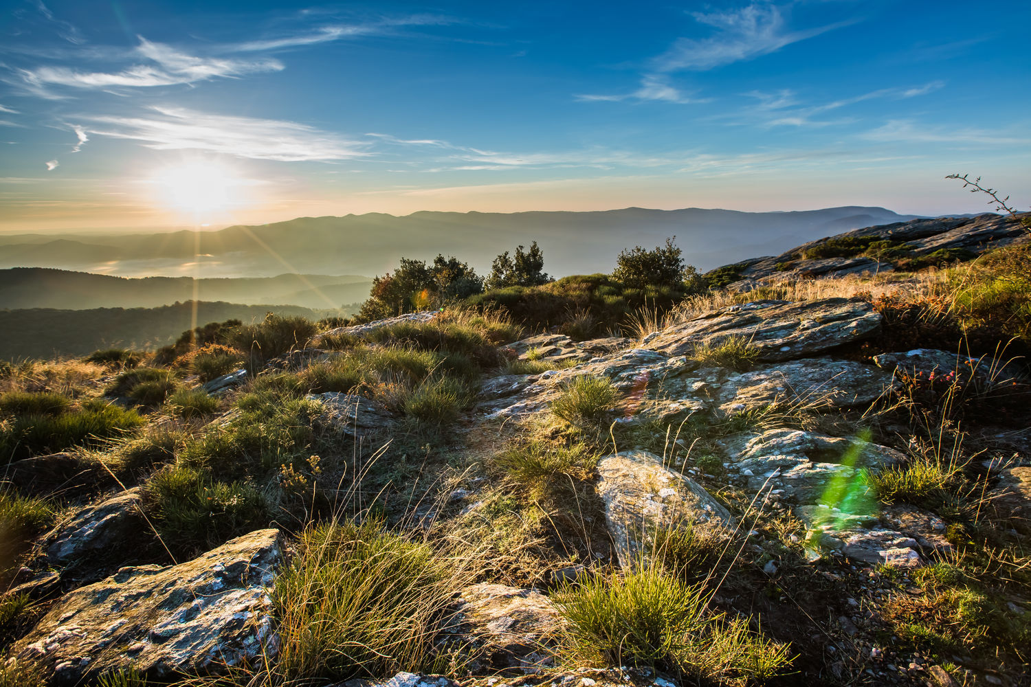 foret des ecrivains combattants-hd-©olivier-octobre-6 ©Olivier Octobre