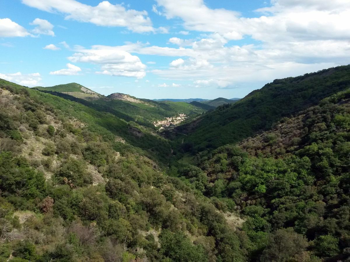 Le Devois-vue sur graissessac ©©Gilles Delerue - ADT34