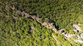 Orgues de Taussac © Direction de la communication CD34 - P. Hilaire (3) ©P.HILAIRE©DEPT34