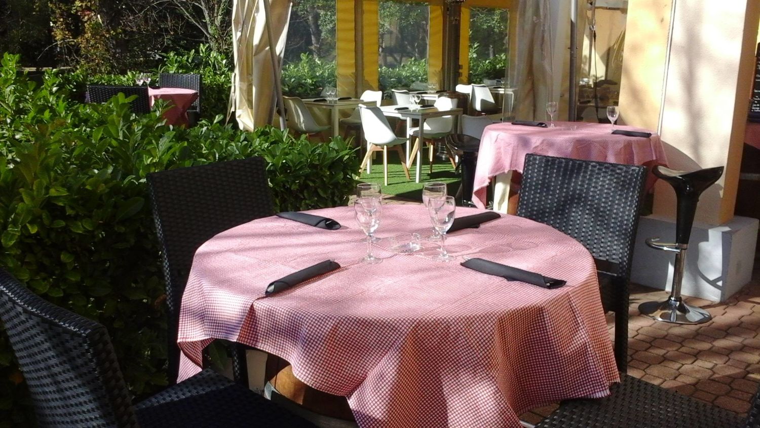 12239303_1528299907491104_6535479156560762786_o ©yucca